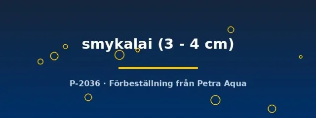 Näsets Alestopetersius smykalai stimfisk 3–4 cm