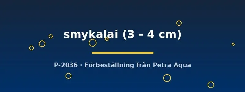 Näsets Alestopetersius smykalai stimfisk 3–4 cm