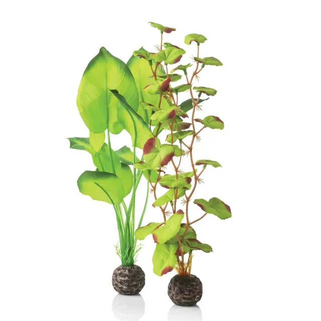 biOrb Medium Green sidenväxt akvarieväxtset grön 30 cm