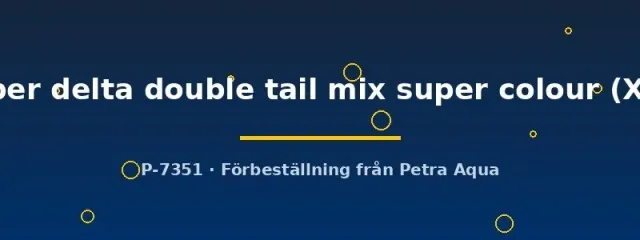 Näsets Ciklidhobby Betta super delta double tail kampfisk hane XL