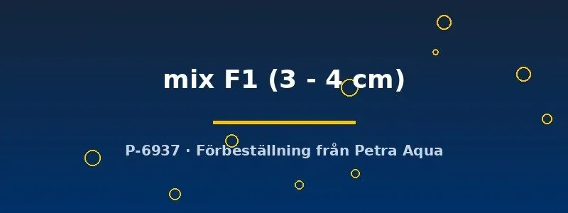Näsets Ciklidhobby Poecilia Mix F1 guppyhane 3–4 cm mix