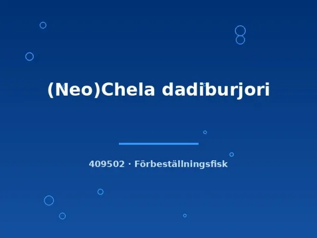 Näsets Ciklidhobby Chela dadiburjori akvariefisk md stim