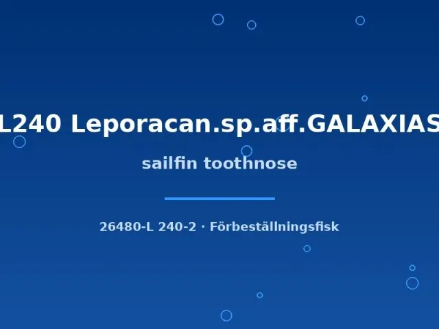 Näsets Ciklidhobby Sailfin Toothnose L240 mal 6–8cm