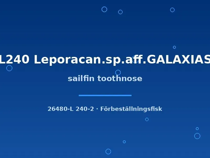 Näsets Ciklidhobby Sailfin Toothnose L240 mal 6–8cm