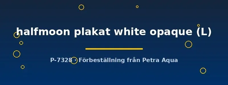 Betta spl halfmoon plakat white opaque kampfisk L