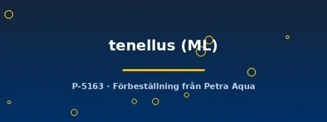 Näsets Ciklidhobby Pseudomugil tenellus regnbågsfisk ML