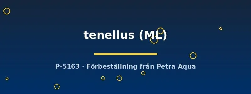 Näsets Ciklidhobby Pseudomugil tenellus regnbågsfisk ML