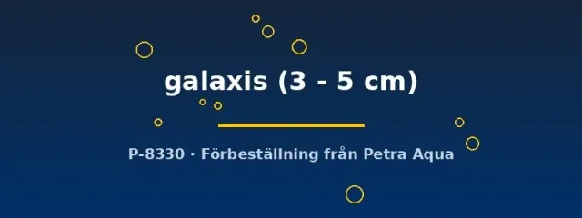 Näsets Ciklidhobby Tatia galaxis 3–5 cm mal