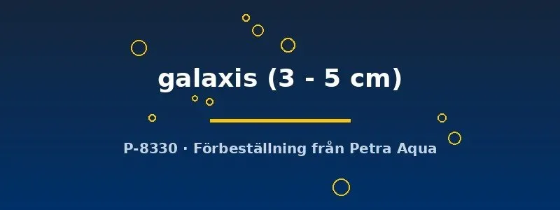 Näsets Ciklidhobby Tatia galaxis 3–5 cm mal