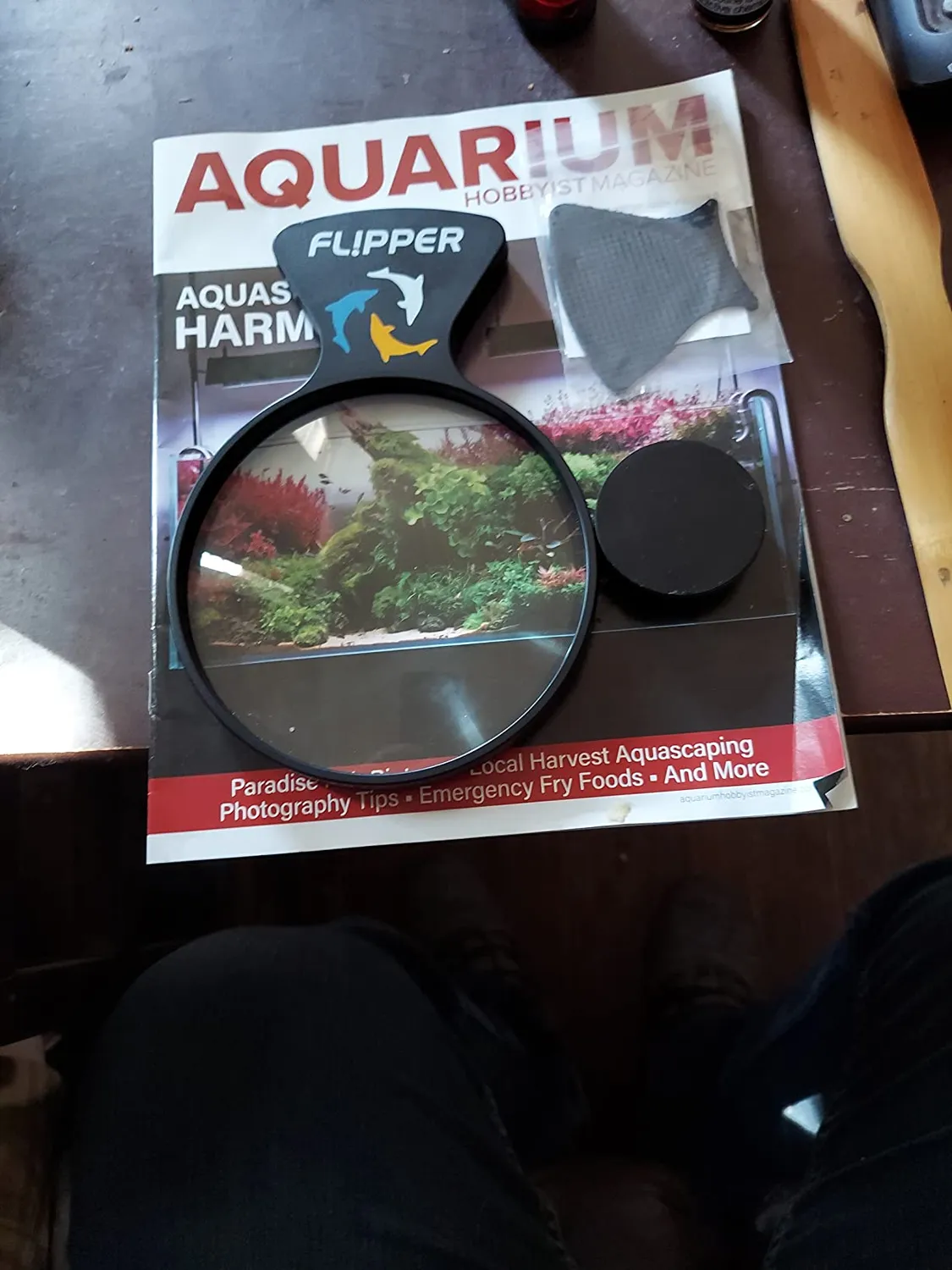 DeepSee Viewer Clear 4" akvarieviewer klar lins