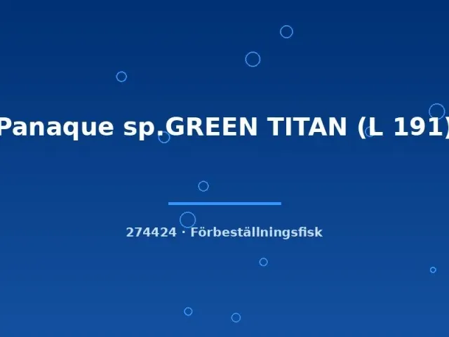Panaque Green Titan L191 mal 7-9 cm förbeställning