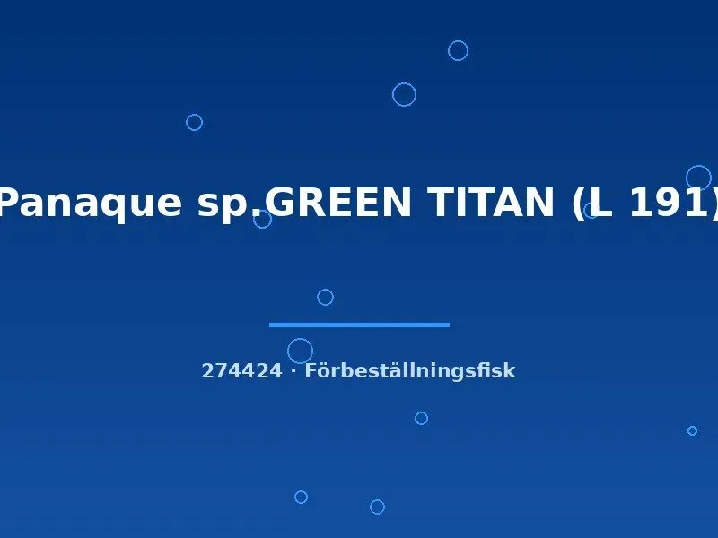 Panaque Green Titan L191 mal 7-9 cm förbeställning