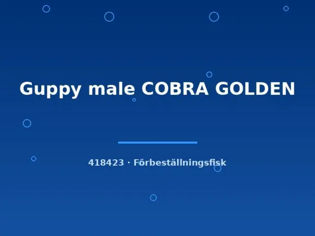 Näsets Ciklidhobby Guppy male COBRA GOLDEN akvariefisk lg guld
