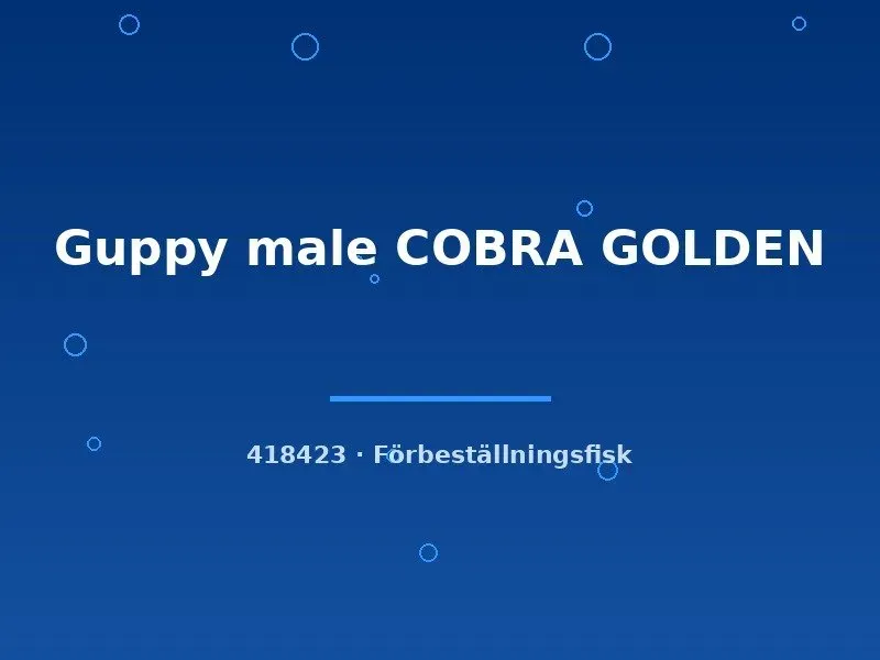 Näsets Ciklidhobby Guppy male COBRA GOLDEN akvariefisk lg guld