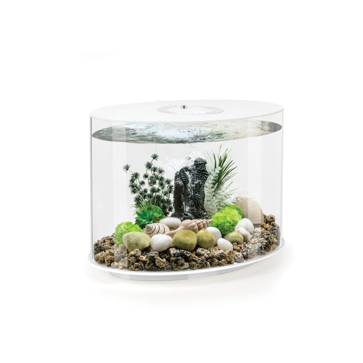 biOrb LOOP 30 LED akvarium 30 liter vit