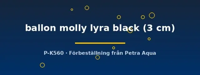 Näsets Ciklidhobby Poecilia ballon molly fisk lyra black 3 cm