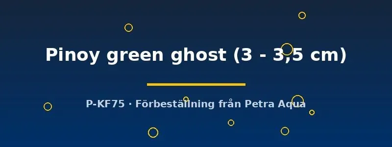 Näsets Ciklidhobby Pinoy Green Ghost 3–3,5 cm skalar grön