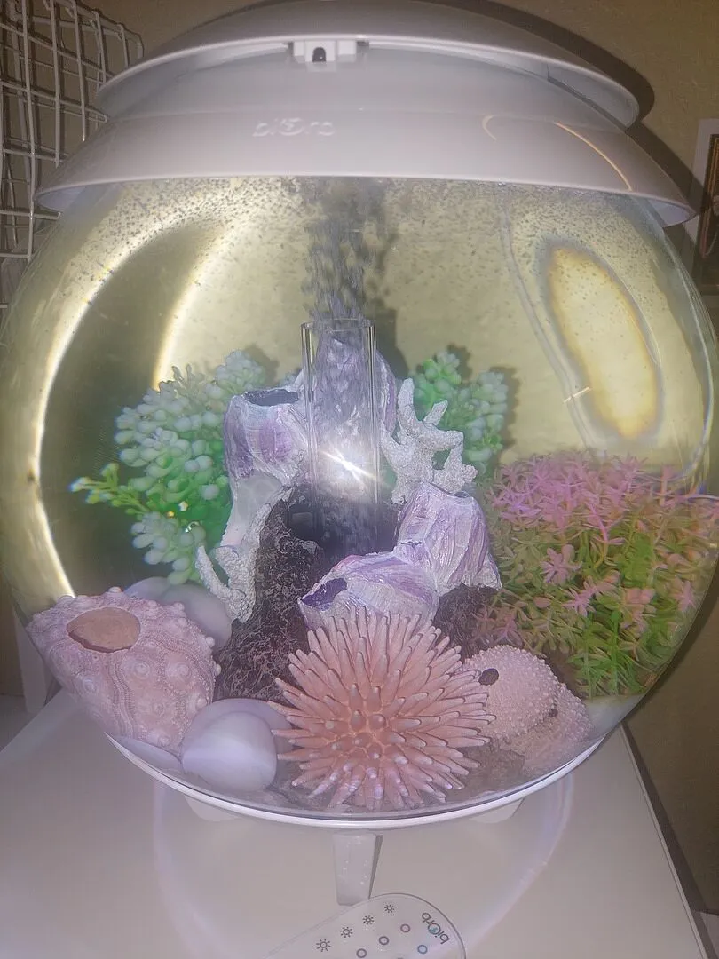 biOrb HALO 15 akvarium 15 liter med MCR-belysning grå
