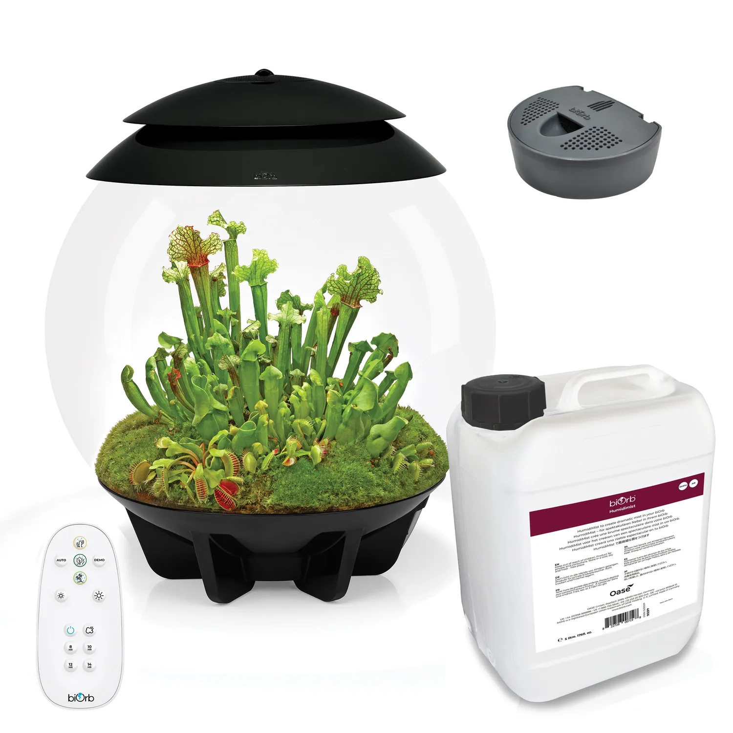 biOrb AIR 30 terrarium med skötselset 30 liter