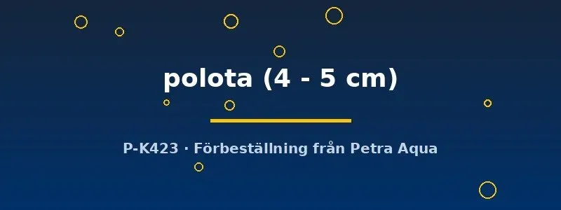 Näsets Ciklidhobby Datnioides polota tigerfisk 4-5 cm rovfisk
