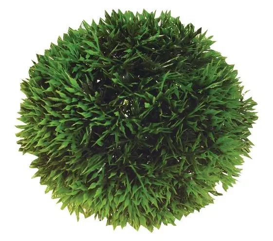 Hobby Plant Ball dekorväxt 9 cm konstväxt