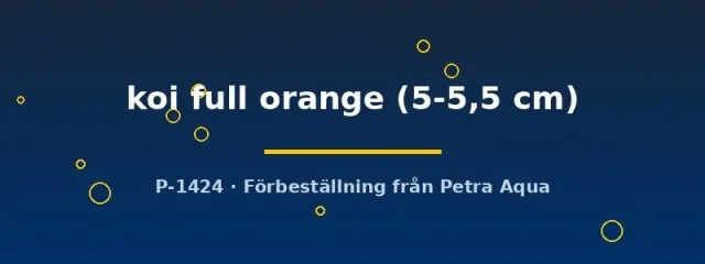 Näsets Ciklidhobby Pterophyllum scalare koi full orange skalare 5–5,5 cm