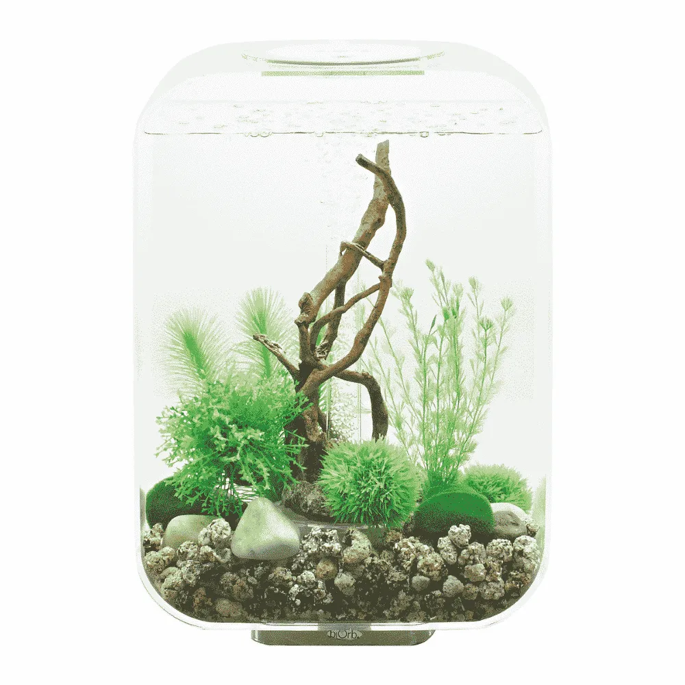 biOrb LIFE 15 LED akvarium 15 liter transparent
