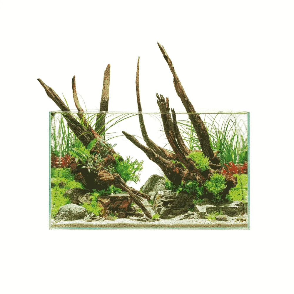 ScaperLine 60 akvarium svart aquascaping paket