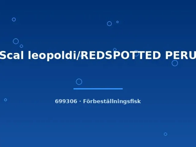 Näsets Ciklidhobby Redspotted Peru skalar xlg leopoldi