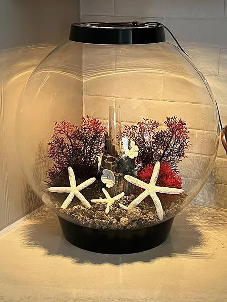 biOrb Classic 30 akvarium 30 liter svart standardljus