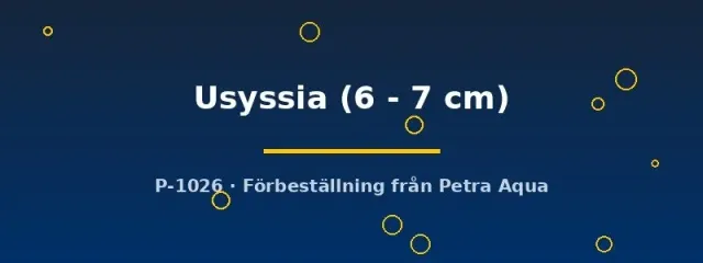 Näsets Ciklidhobby Usisia Aulonocara Usyssia ciklid 6–7 cm