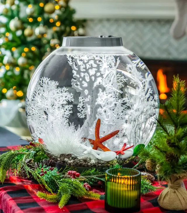 biOrb Holiday Harmony akvariepaket dekoration