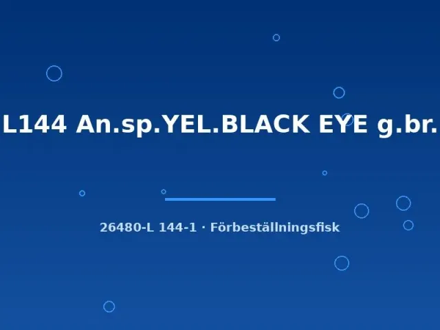 Näsets Ciklidhobby L144 An.sp.YEL.BLACK EYE mal 3-4 cm gul