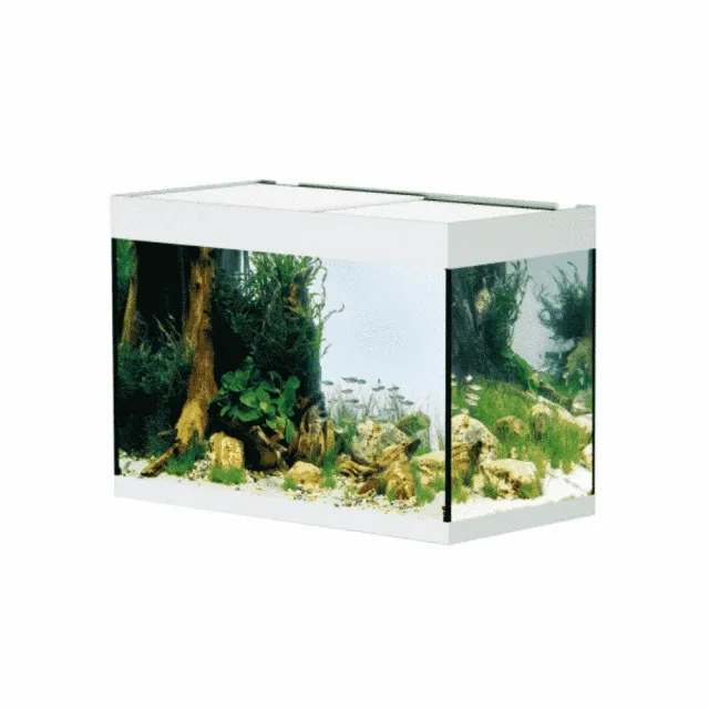 Näsets Ciklidhobby StyleLine 175 akvarium vit med filter