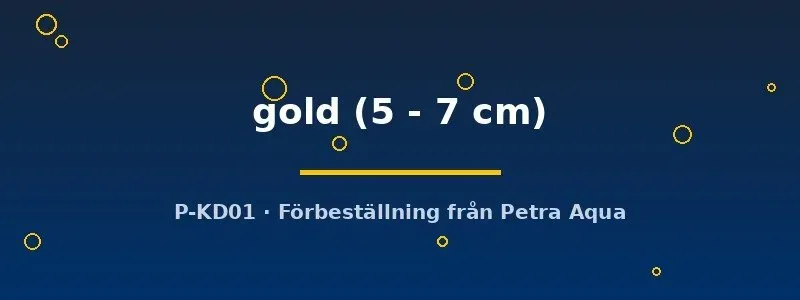 Näsets Ciklidhobby Pleurodela gold vattensalamander 5–7 cm