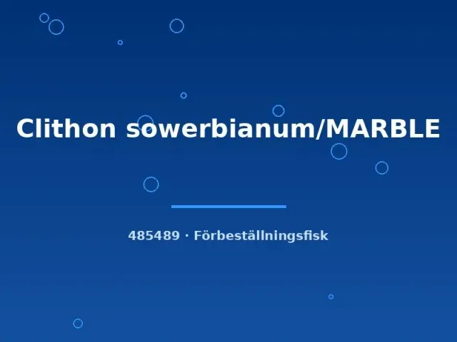 Clithon sowerbianum Marble algsnäcka sm