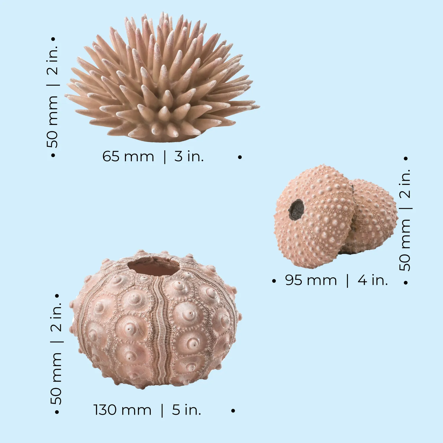 biOrb Sea Urchin akvariedekoration 3-pack natural