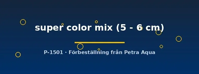 Näsets Ciklidhobby Aulonocara super color mix ciklid 5–6 cm malawi