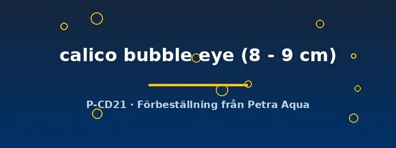 Näsets Ciklidhobby Carassius auratus calico bubble eye guldfisk 8–9 cm