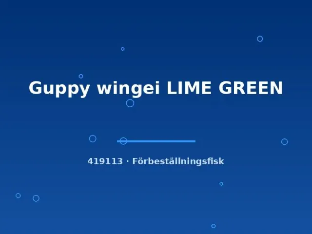 Näsets Ciklidhobby Guppy wingei Lime Green akvariefisk md pigg