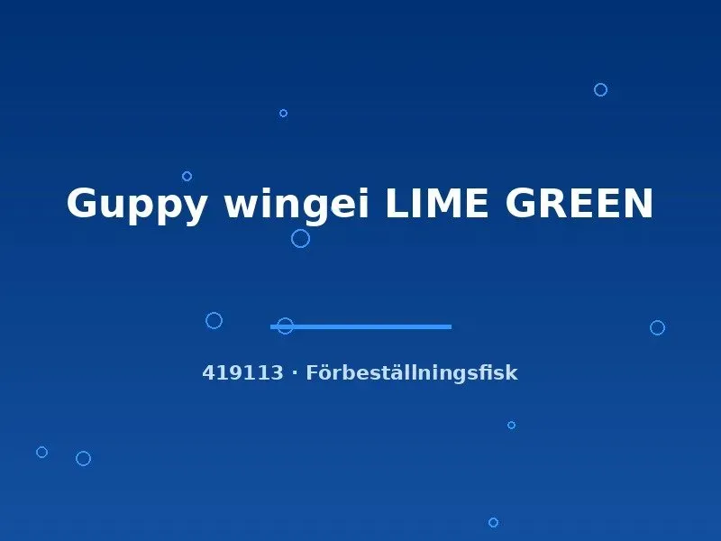 Näsets Ciklidhobby Guppy wingei Lime Green akvariefisk md pigg