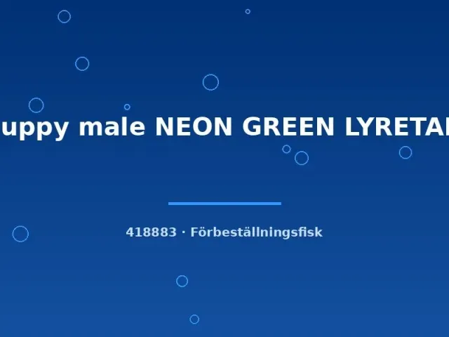 Näsets Guppy neon green lyretail hane lg