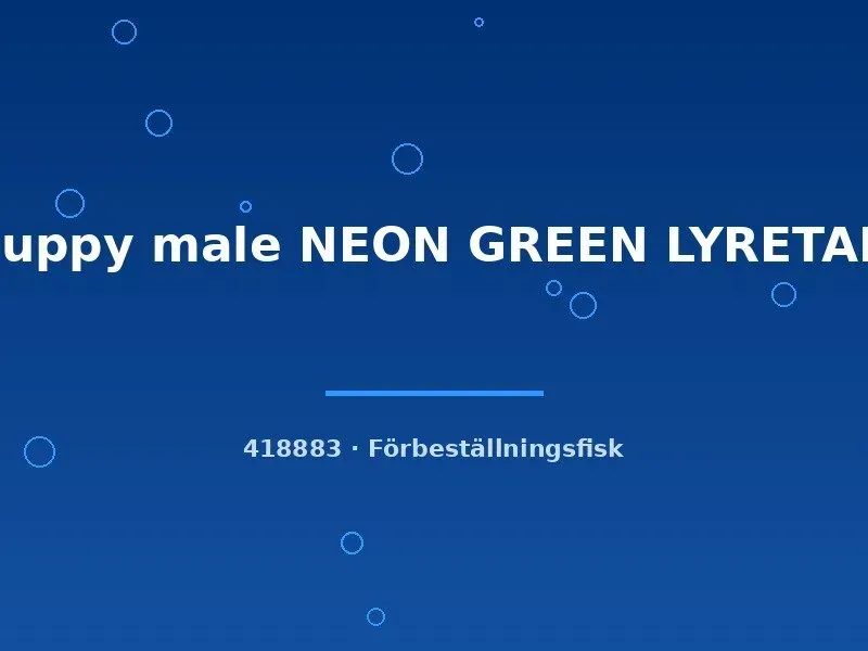 Näsets Guppy neon green lyretail hane lg