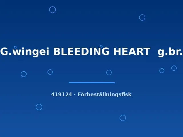 Näsets Ciklidhobby G.wingei bleeding heart guppy md