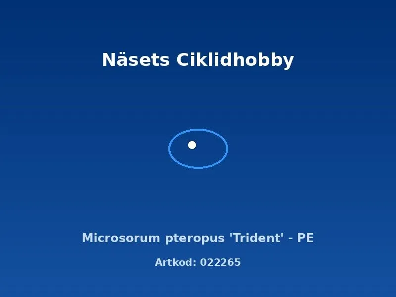 Näsets Ciklidhobby Microsorum Trident akvarieväxt PE tålig