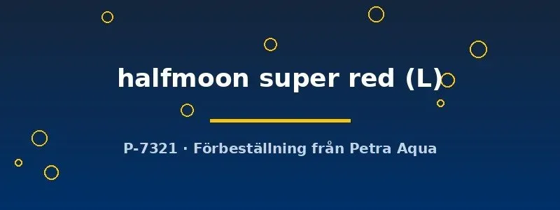 Näsets Ciklidhobby Halfmoon Super Red kampfisk hane L