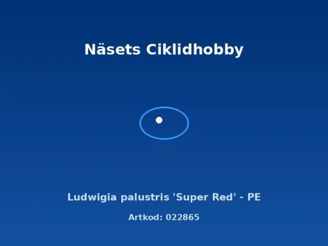 Näsets Ciklidhobby Ludwigia Super Red akvarieväxt PE röd