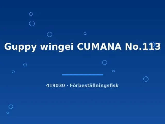Näsets Ciklidhobby Guppy wingei Cumana No.113 guppy md