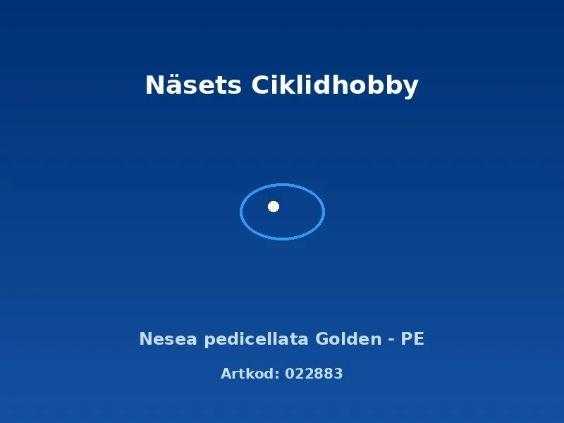 Näsets Ciklidhobby Nesea pedicellata Golden akvarieväxt PE