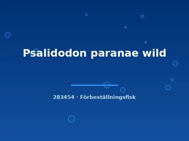 Näsets Psalidodon paranae wild tetrafisk 5-9 cm vildfångad